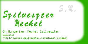 szilveszter mechel business card